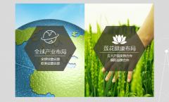 莲花健康高层地震 业绩连年亏损或沦为“壳”资源