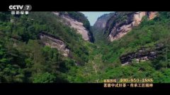 茗唐 | 荣登央视•展播品牌!喝好茶•选茗唐!