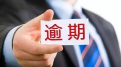 谨防“反催收”代办信用卡“停息挂账”业务套路 理性保平安